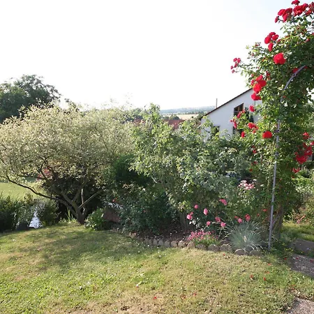 Am Kirschberg Guest house 3*