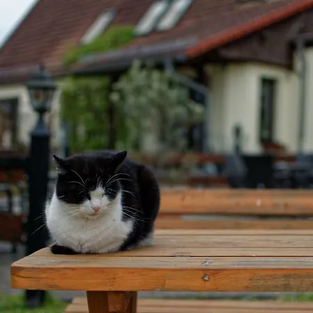 Am Kirschberg Vendégház 3*