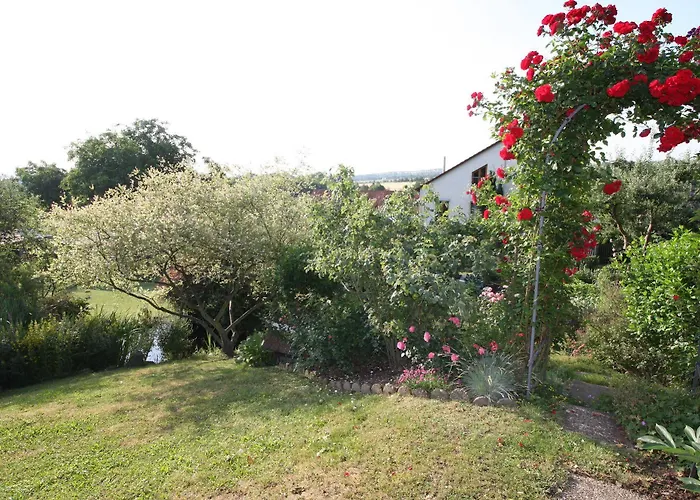 Am Kirschberg Pensionat 3*