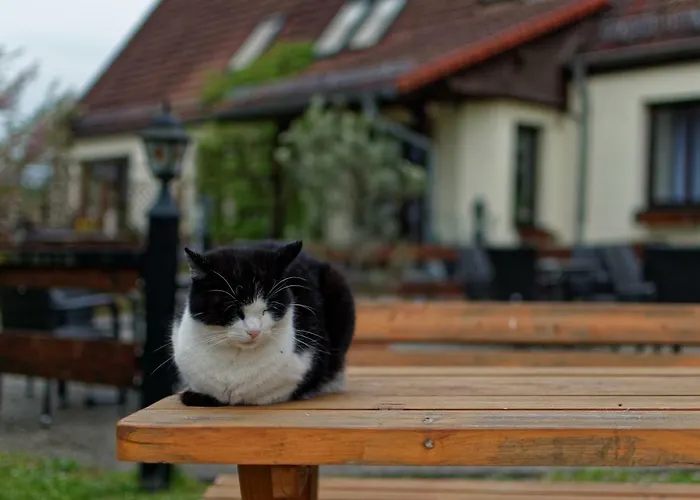 Am Kirschberg Pensionat 3*