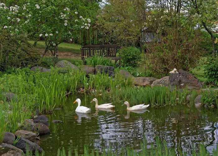 Am Kirschberg Pensionat Bannewitz